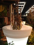 Photo_12