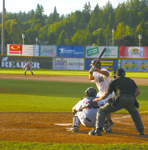 Black_bears_field