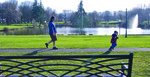Lake_walk_bench_cropped