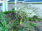 http://locable.s3.amazonaws.com/cr_reader_magazine/images/original/NWG_Done.jpg