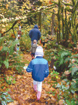 Nwg_leaf_walk