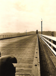 Rainier_bridge_planks