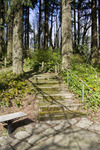 Stone_park_steps
