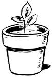 Plant_seedling