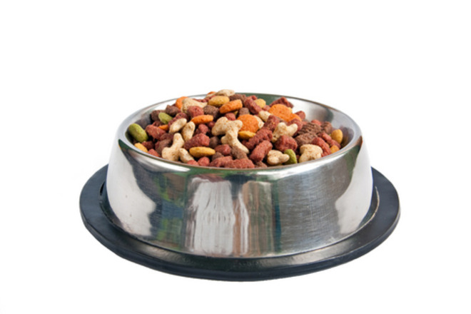 Pet bowl
