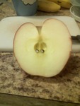 Alien-apples_003