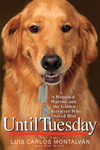 Untiltuesday_2
