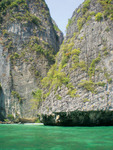 Api_65e49620001a85c5db5d121167be002f_thailand