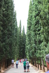 http://locable.s3.amazonaws.com/living_out_east/images/original/Alhambra__3_.JPG