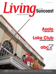 Lots_11-11cover