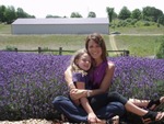Mel_lilac_field_5