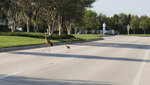 Sandhills