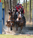 Lineoak20th0412
