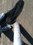 Clam_digging_tools