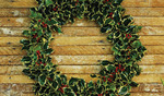 Api_44284a0eeb2f772960344dfaf3abf2ef_decjan_wreath